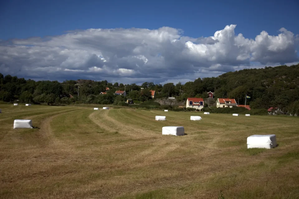 Ängar och hus i Tjuvkil i Kungälvs kommun