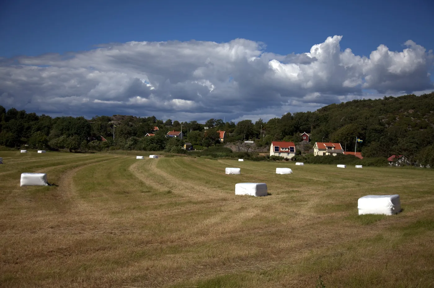 Ängar och hus i Tjuvkil i Kungälvs kommun