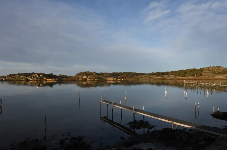 Timmerviken en stilla vintermorgon